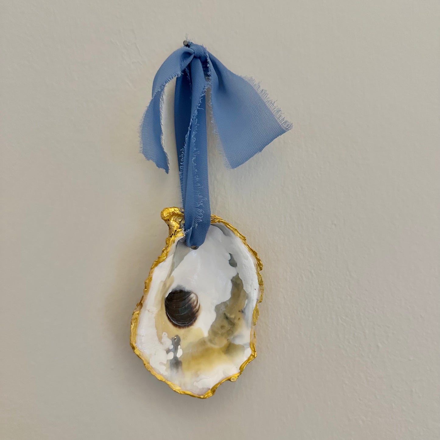 Oyster Ornament Cornflower